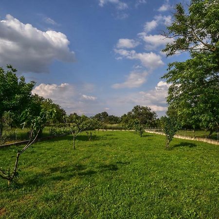 Ankin Dvor Villa Galovac  Dış mekan fotoğraf