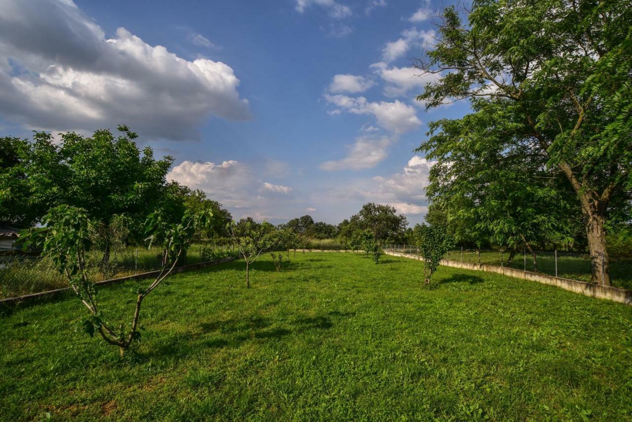 Ankin Dvor Villa Galovac  Dış mekan fotoğraf
