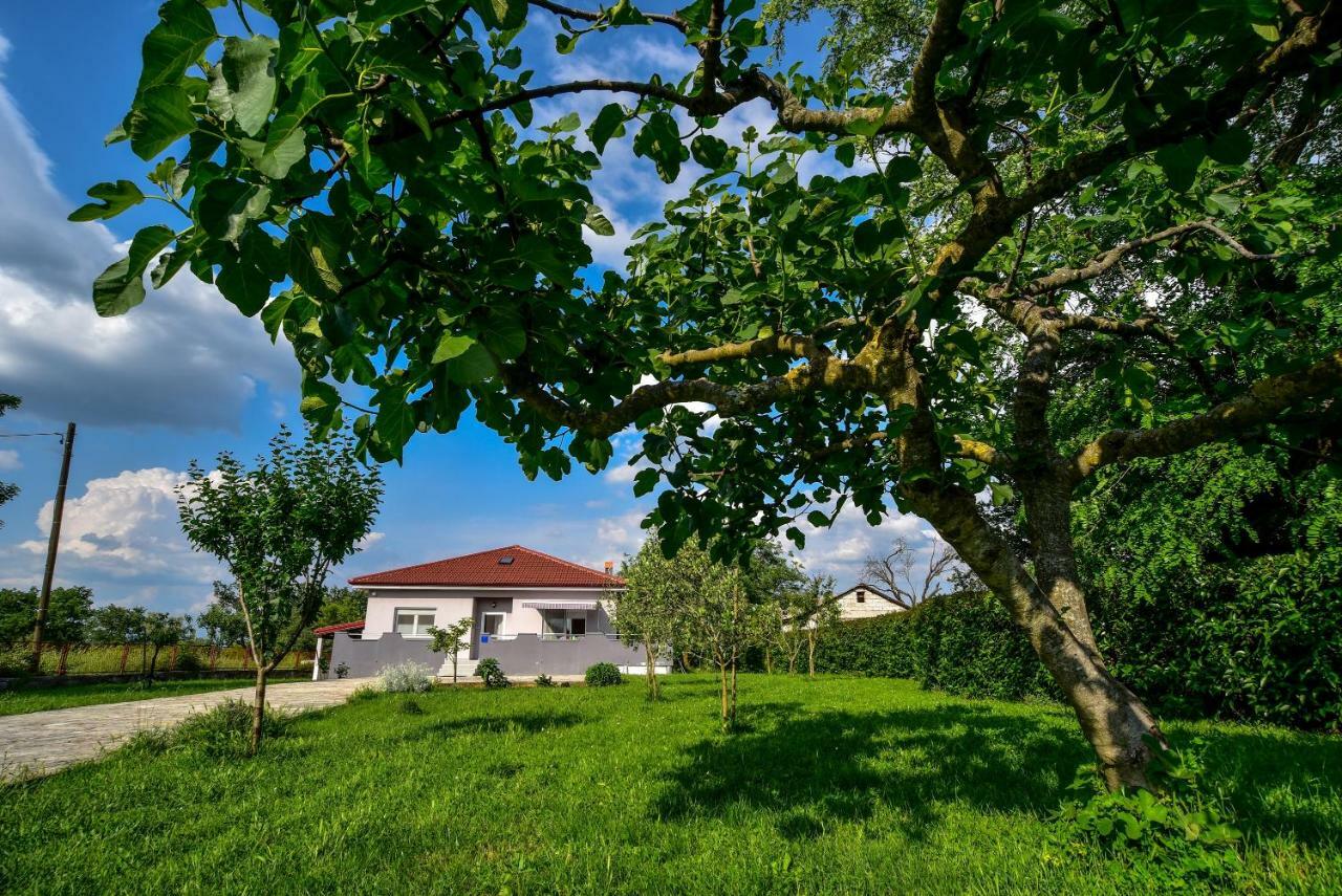 Ankin Dvor Villa Galovac  Dış mekan fotoğraf
